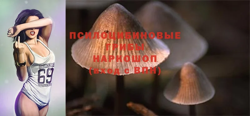 Псилоцибиновые грибы Magic Shrooms  это как зайти  Волгореченск  купить  цена 